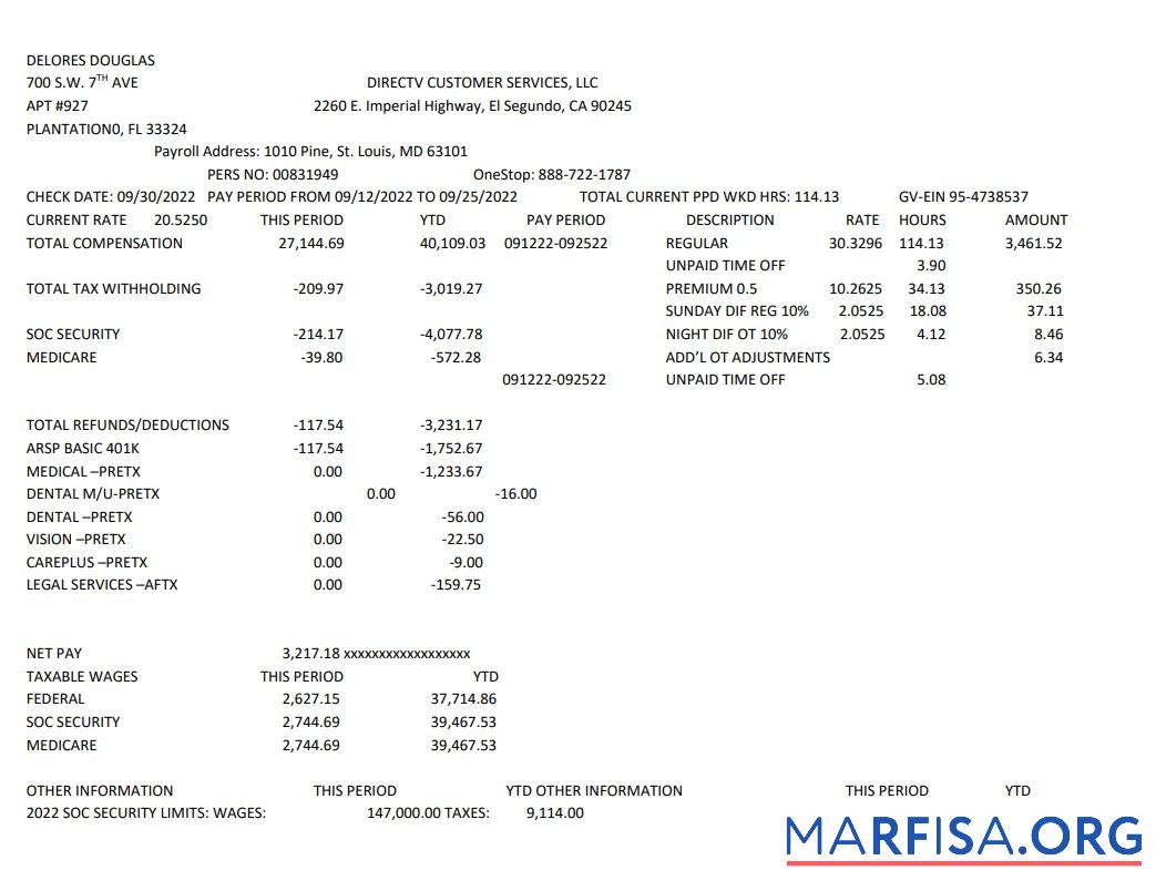 Printable Delores Douglas Paystub sample